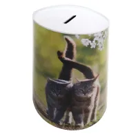 Spaarblik Poezen 10x15 cm